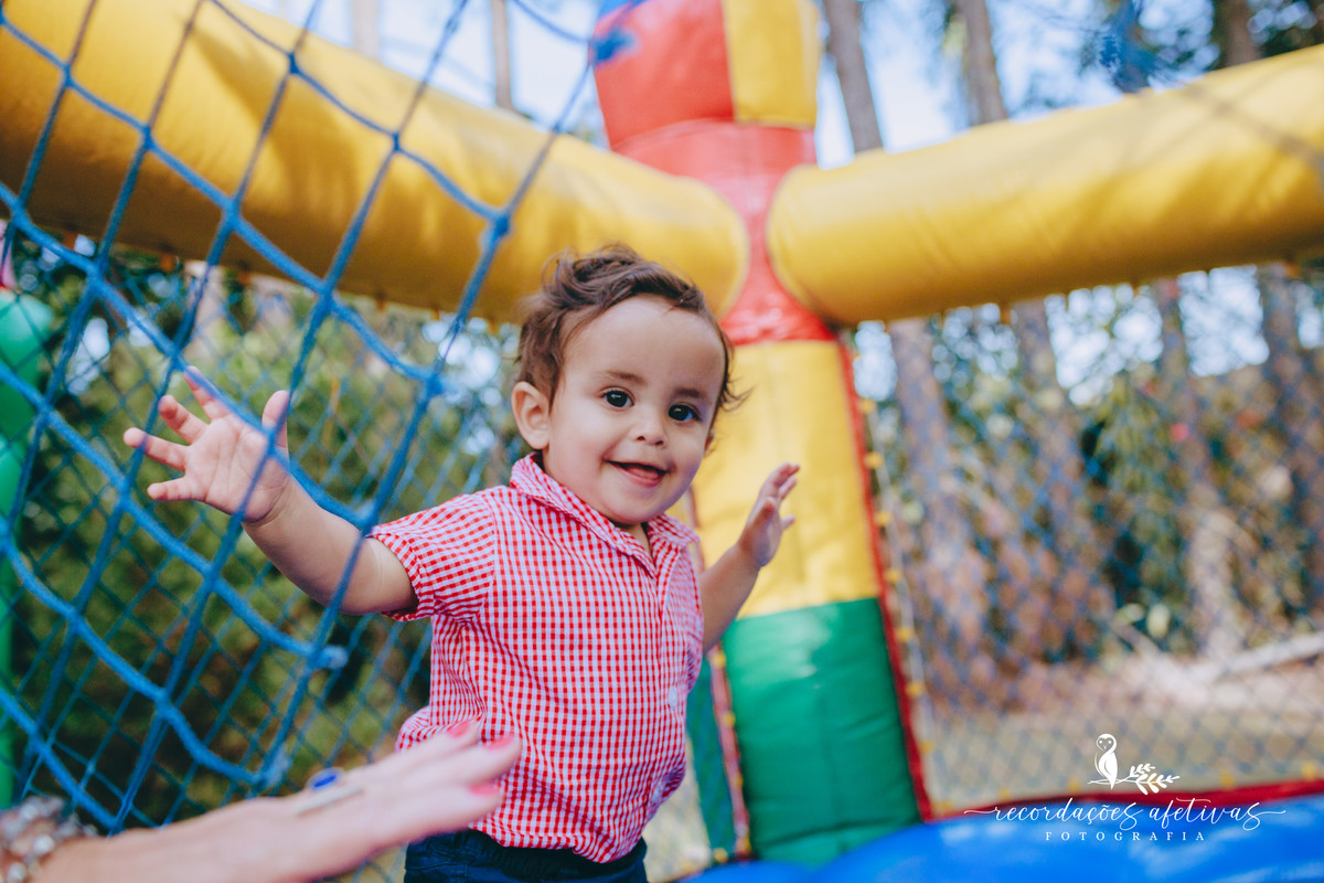 Aniversário Infantil com Tema Fazendinha em São Roque SP 