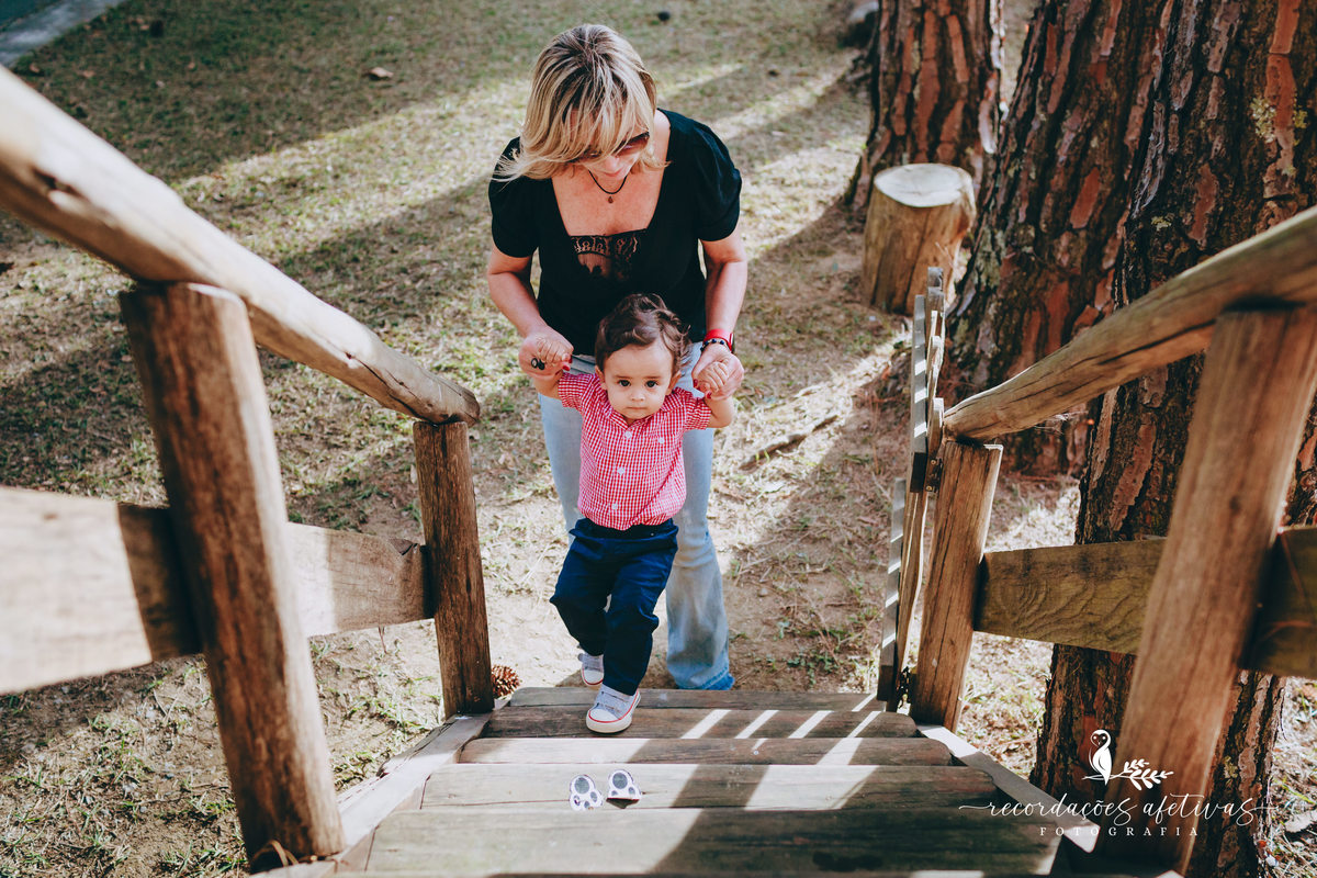 Aniversário Infantil com Tema Fazendinha em São Roque SP 
