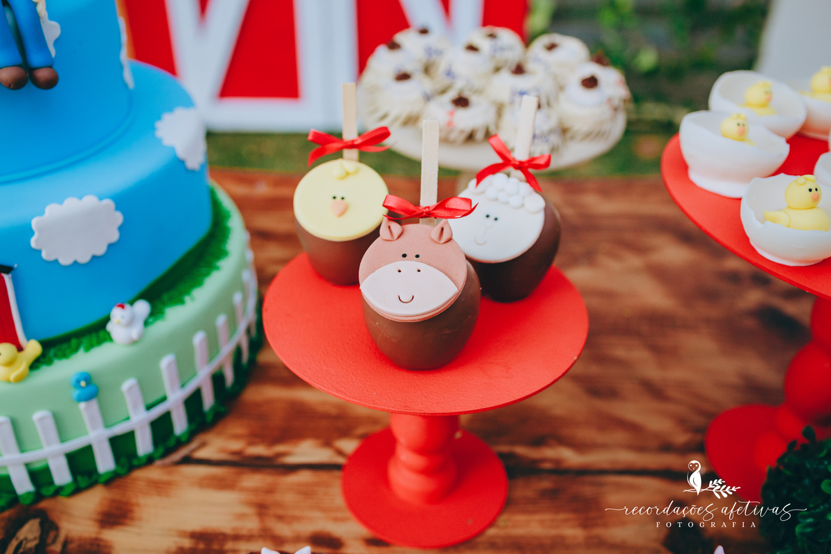 Aniversário Infantil com Tema Fazendinha em São Roque SP 