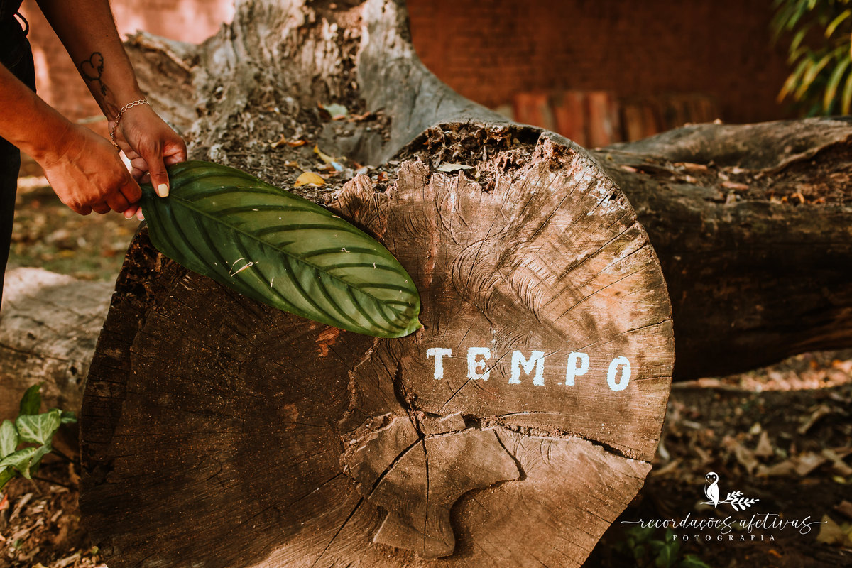 Ensaio Feminino Brasital São Roque SP