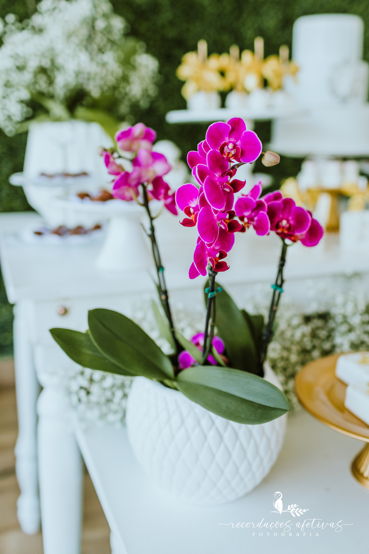 Batizado-Mariapolis-Ginetta-Vargem-Grande-SP