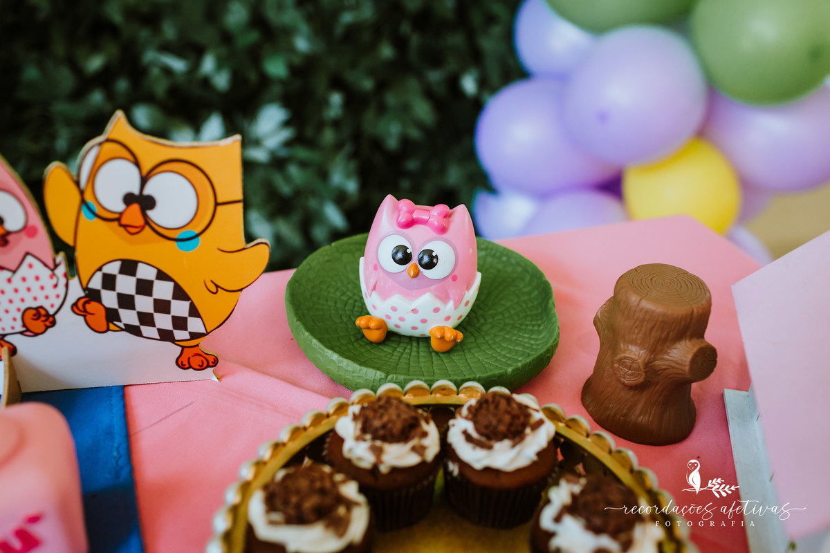 Aniversário-Infantil-Bubu-e-as-Corujinhas-Jaguaré-SP