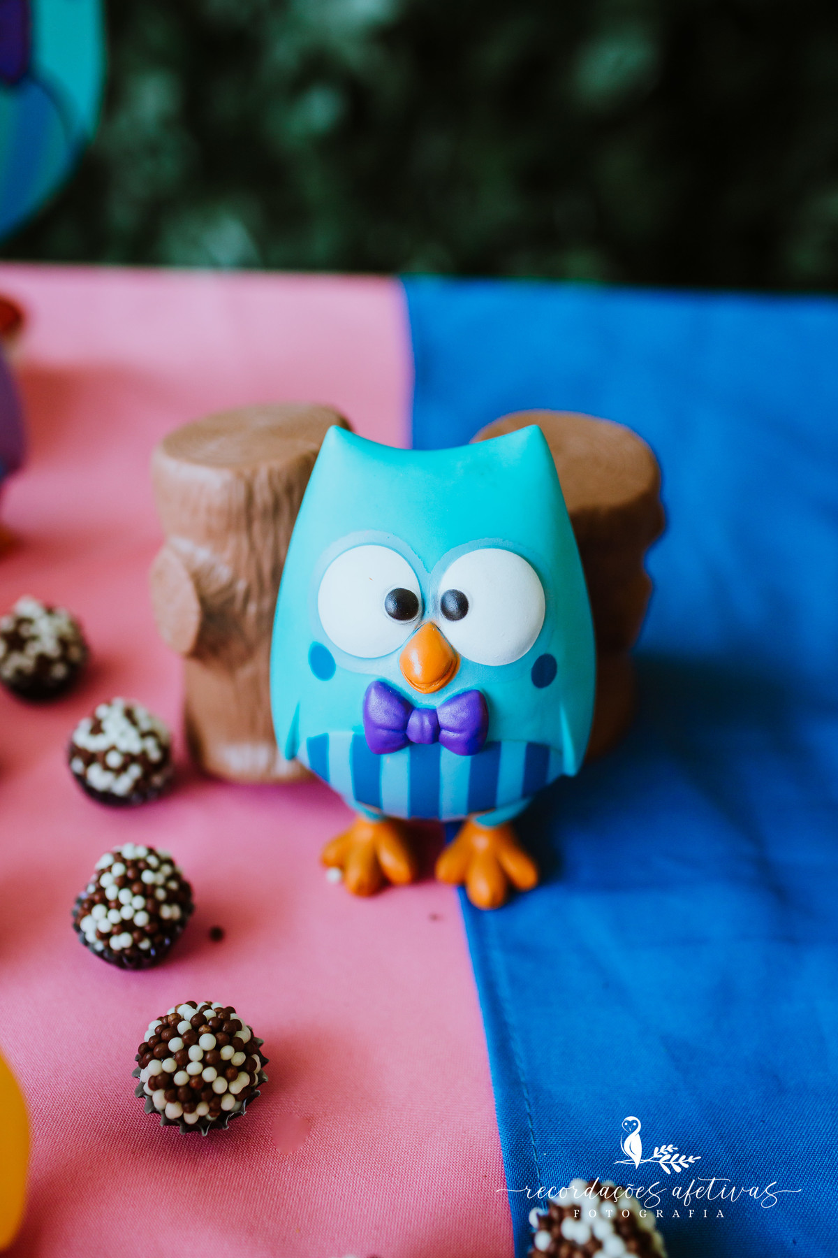 Aniversário-Infantil-Bubu-e-as-Corujinhas-Jaguaré-SP