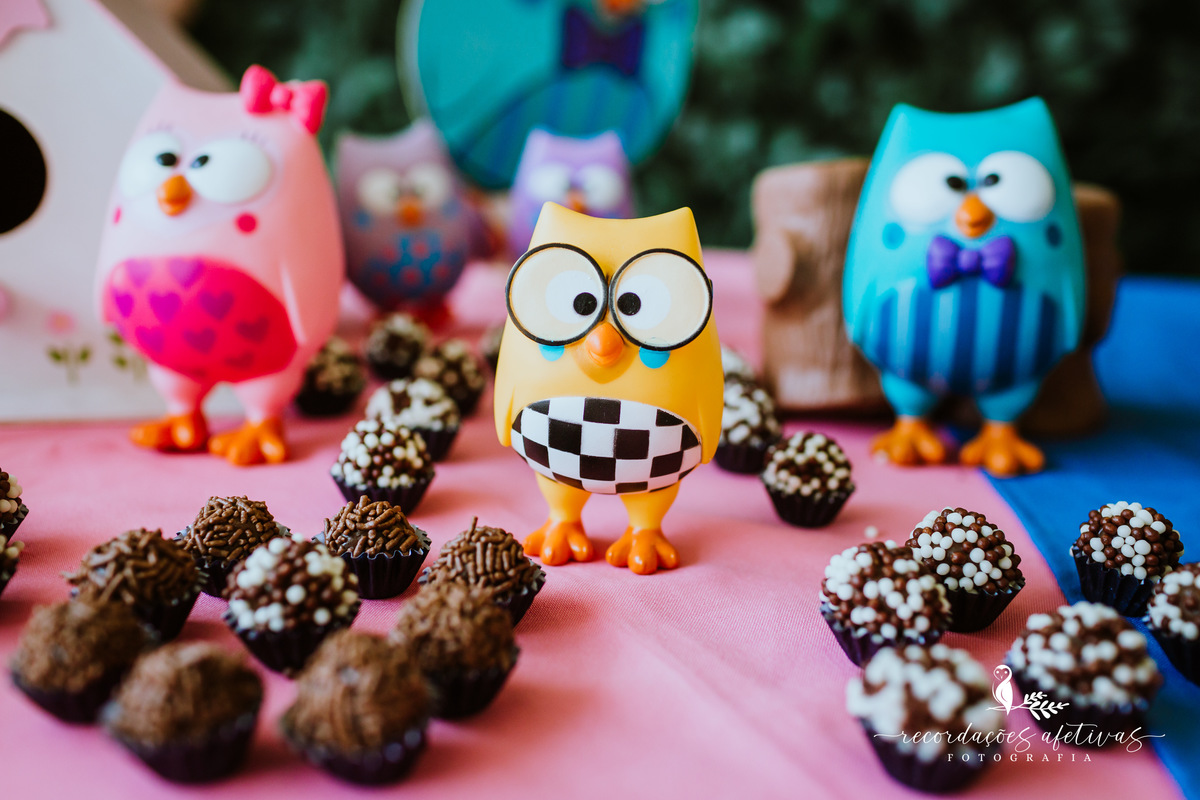 Aniversário-Infantil-Bubu-e-as-Corujinhas-Jaguaré-SP