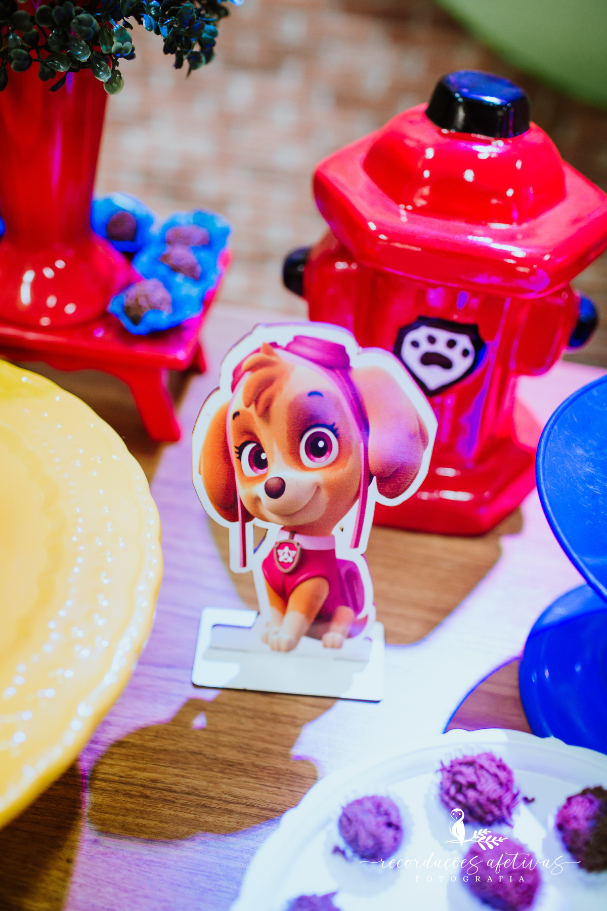 Aniversário Infantil com Tema Patrulha Canina realizado no Buffet Viva São Roque