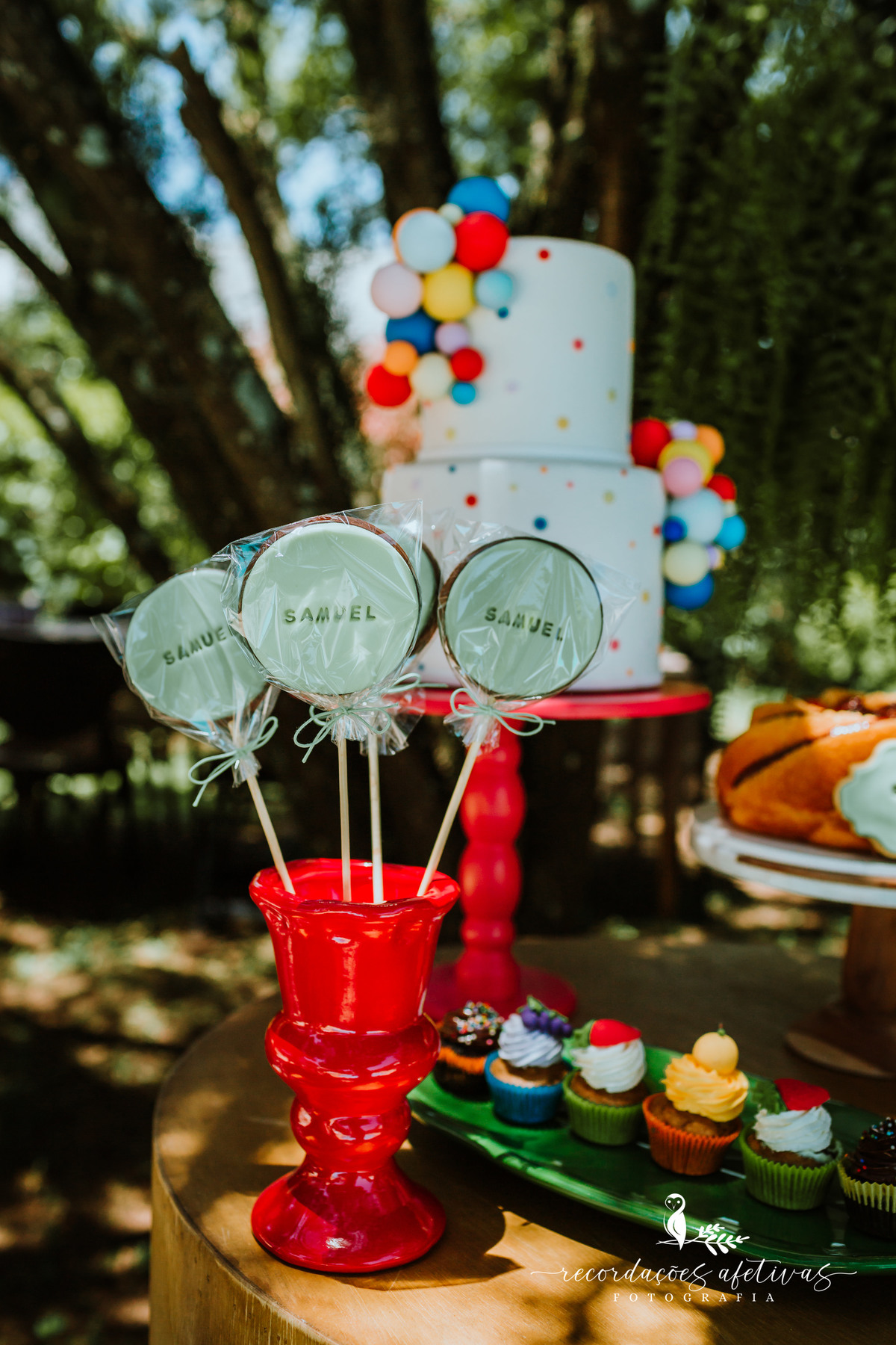 Aniversário Infantil Terras de São José, Itu - SP