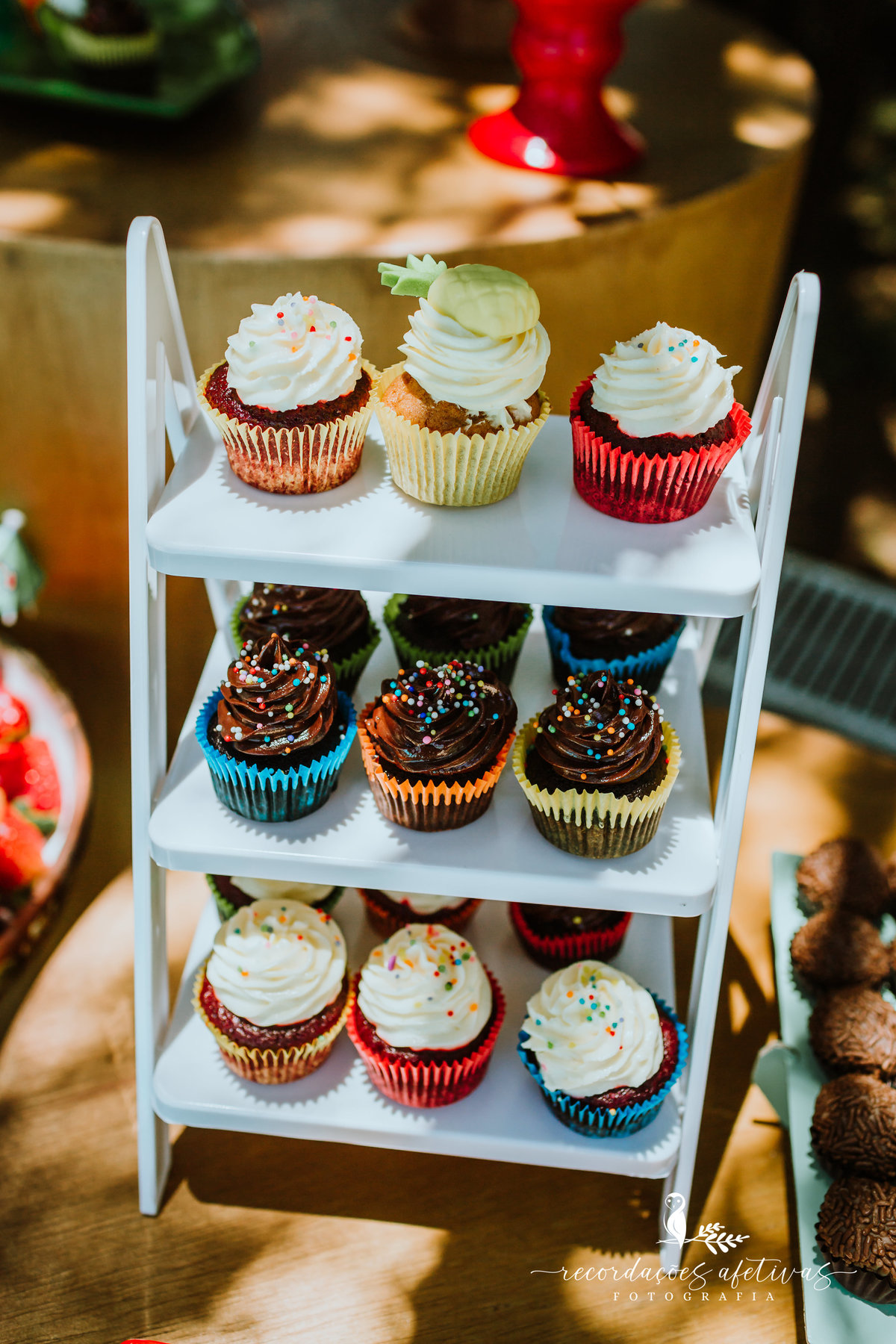 Aniversário Infantil Terras de São José, Itu - SP