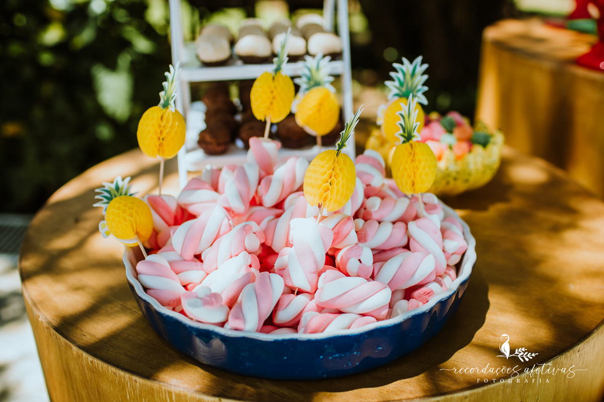 Aniversário Infantil Terras de São José, Itu - SP