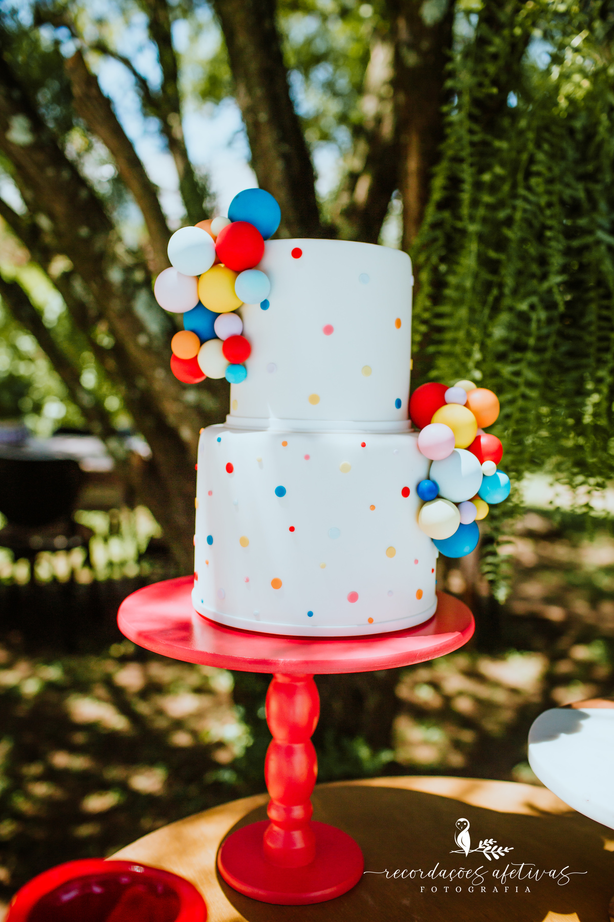 Aniversário Infantil Terras de São José, Itu - SP