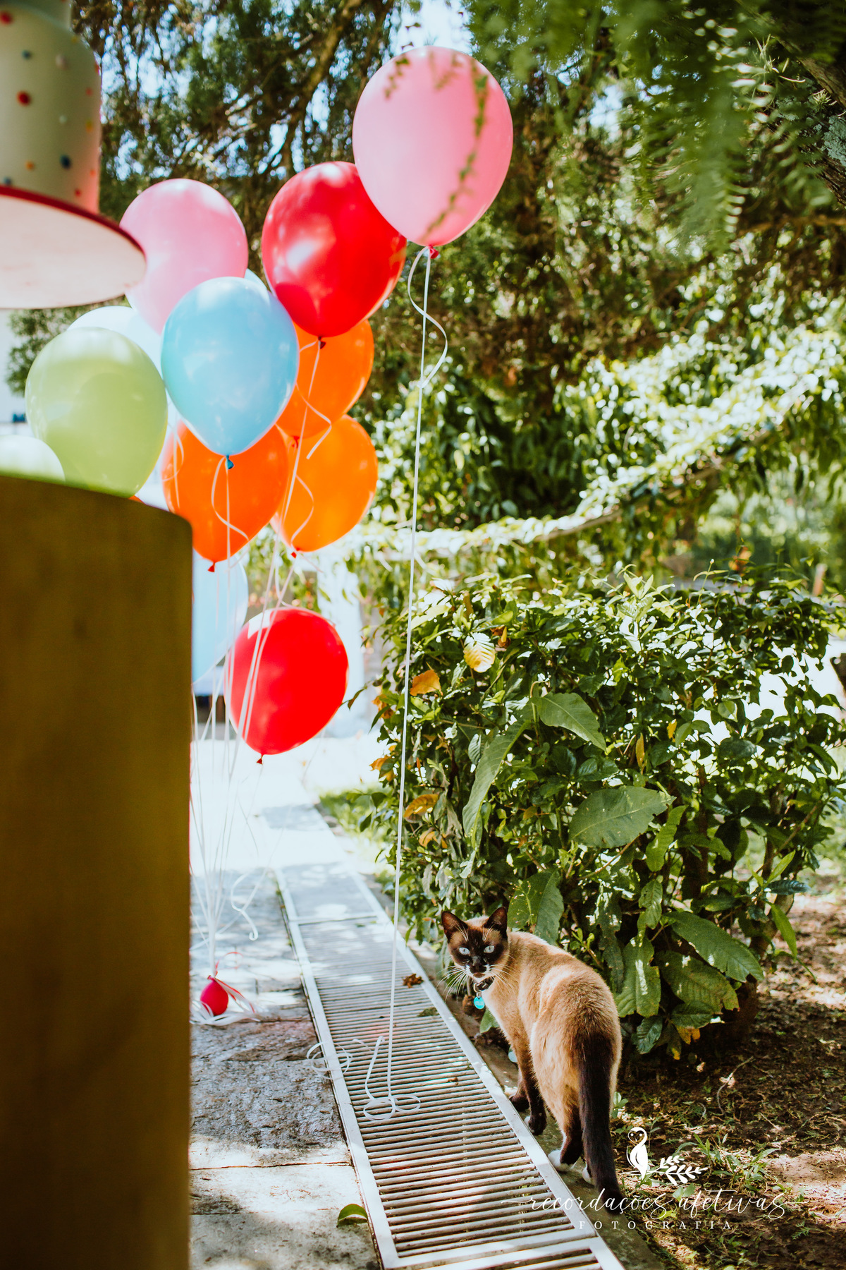 Aniversário Infantil Terras de São José, Itu - SP