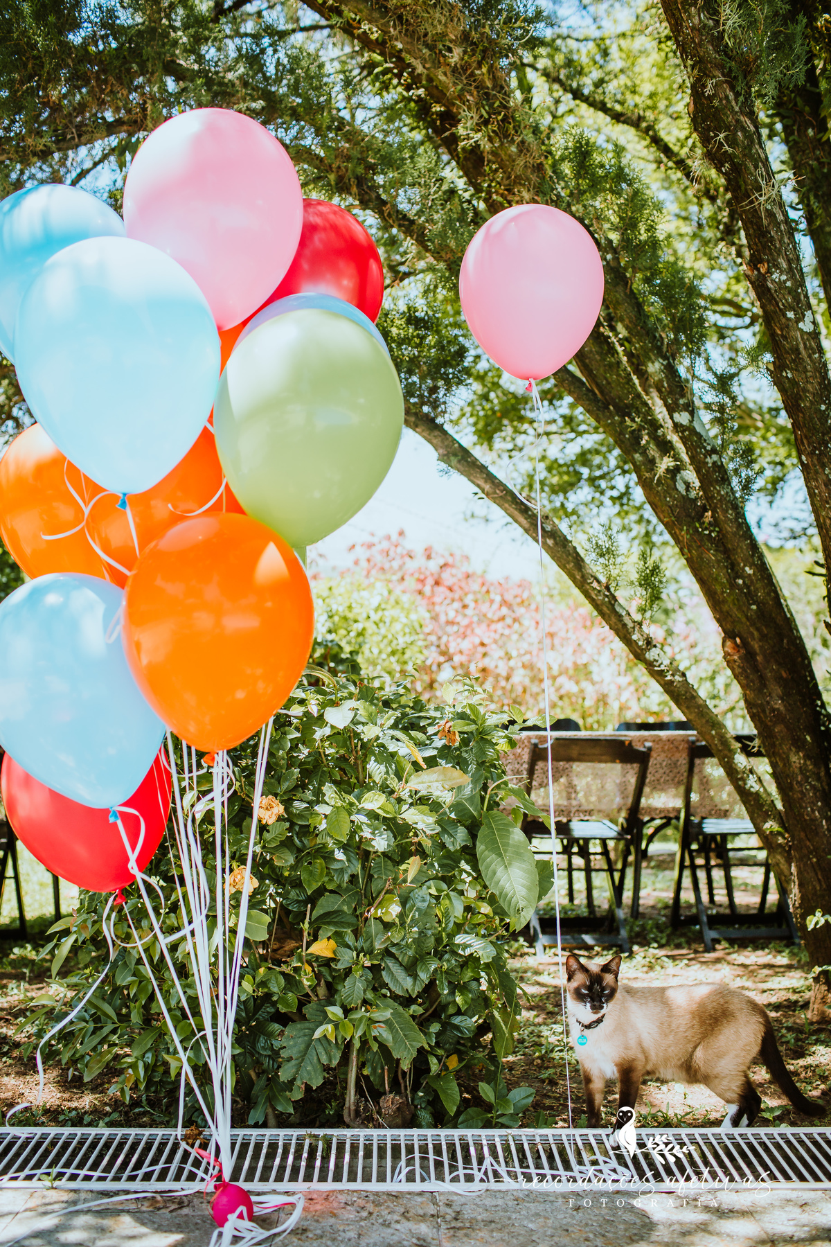 Aniversário Infantil Terras de São José, Itu - SP