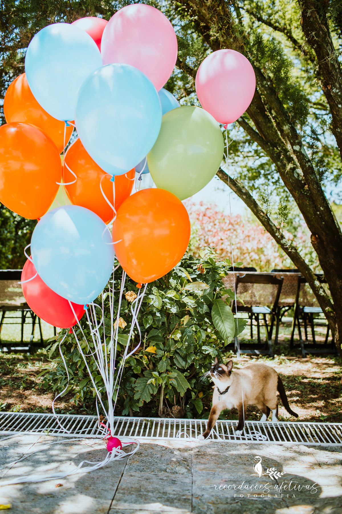 Aniversário Infantil Terras de São José, Itu - SP