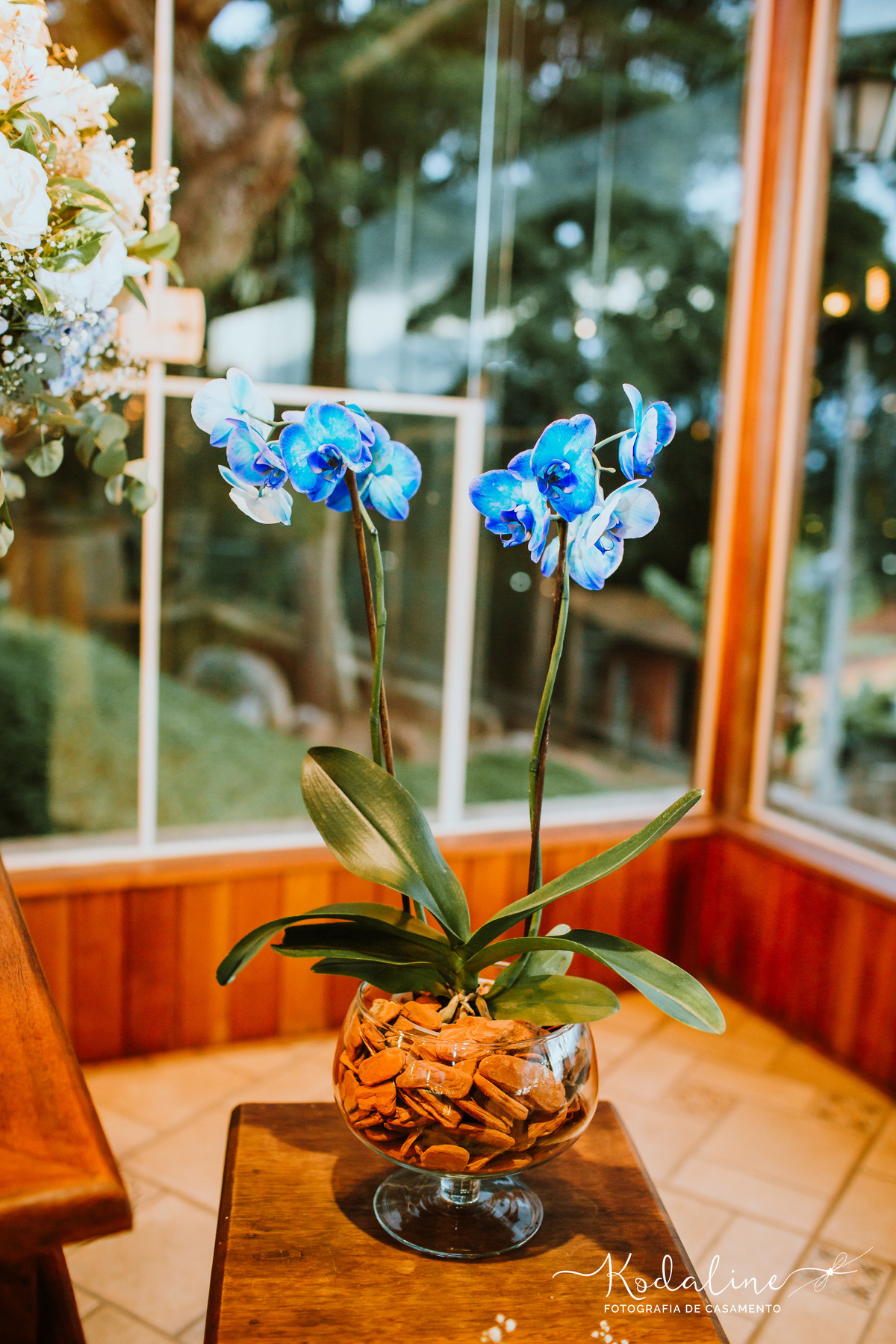 Casamento lindo realizado na igreja Matriz em São Roque e a festa no Espaço Hera 