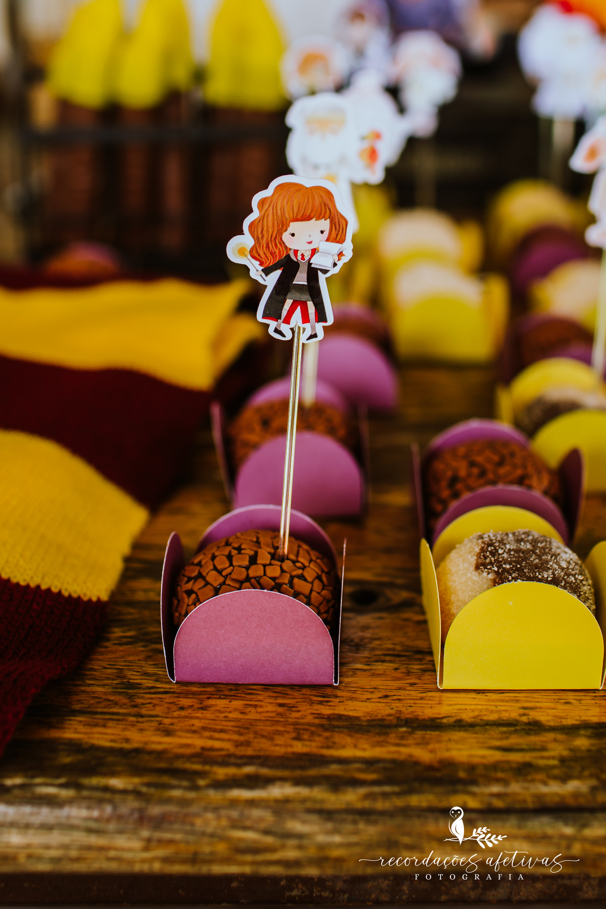 Aniversário Infantil com Tema Harry Potter realizado em Mairinque - SP