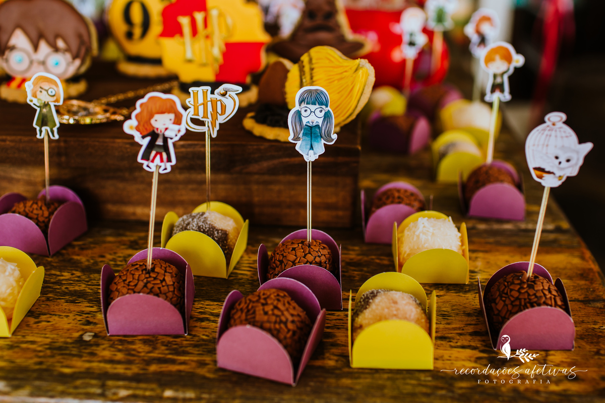 Aniversário Infantil com Tema Harry Potter realizado em Mairinque - SP