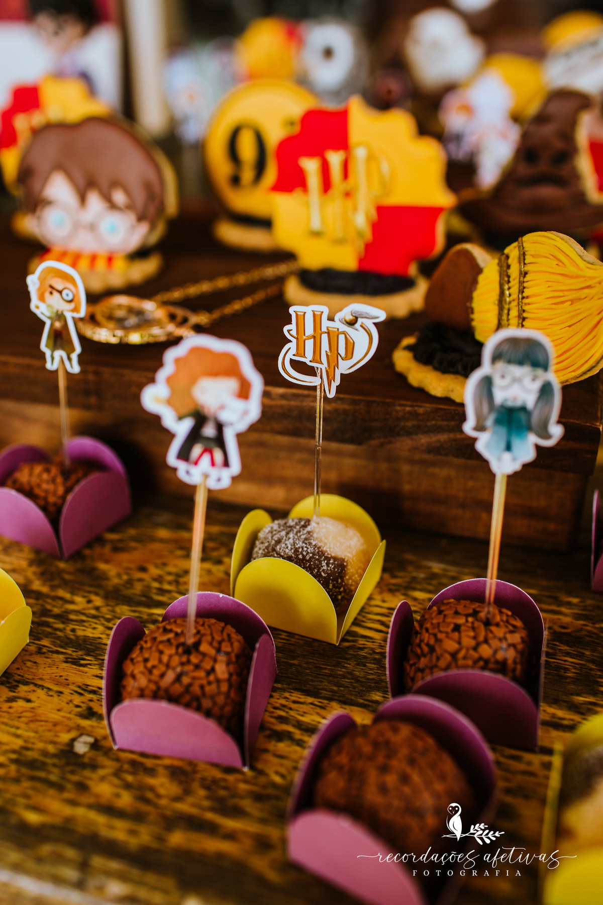Aniversário Infantil com Tema Harry Potter realizado em Mairinque - SP