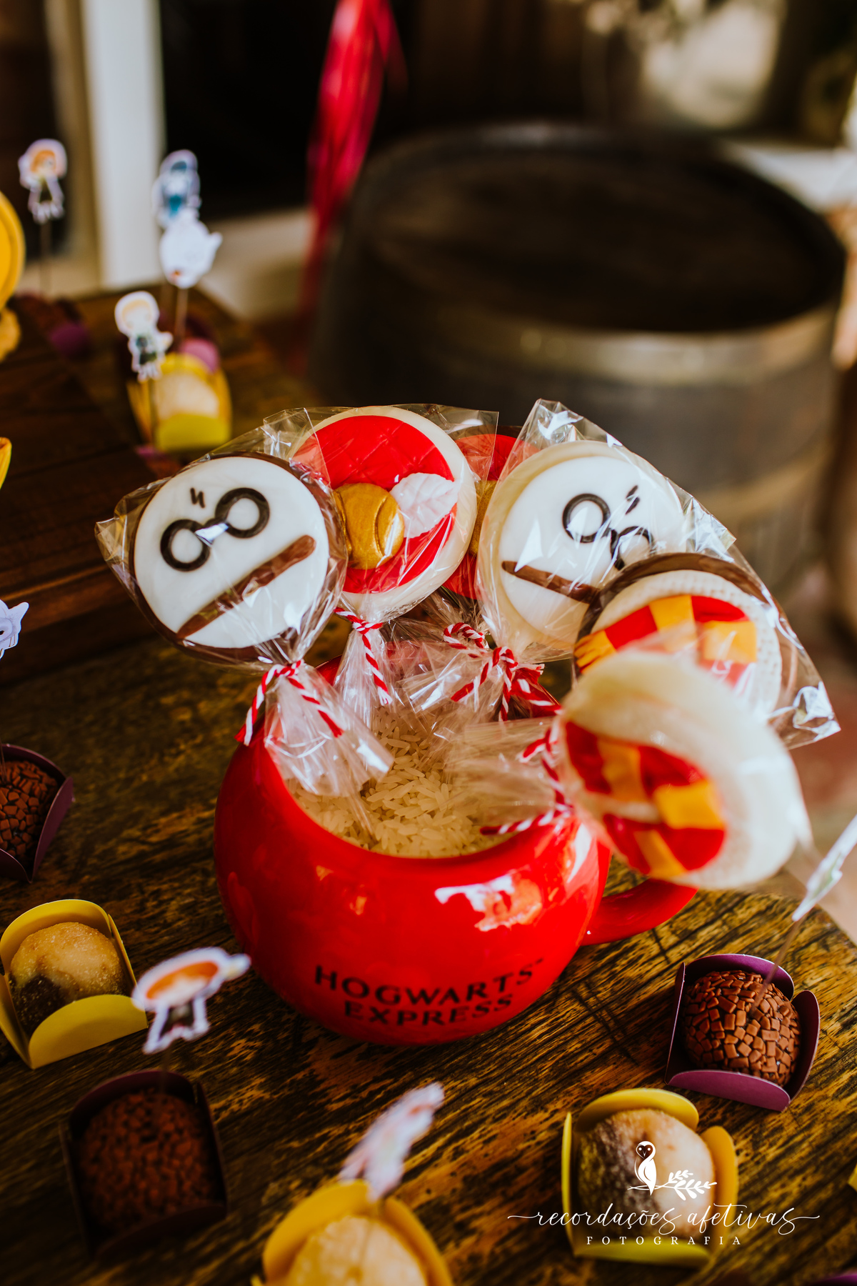 Aniversário Infantil com Tema Harry Potter realizado em Mairinque - SP