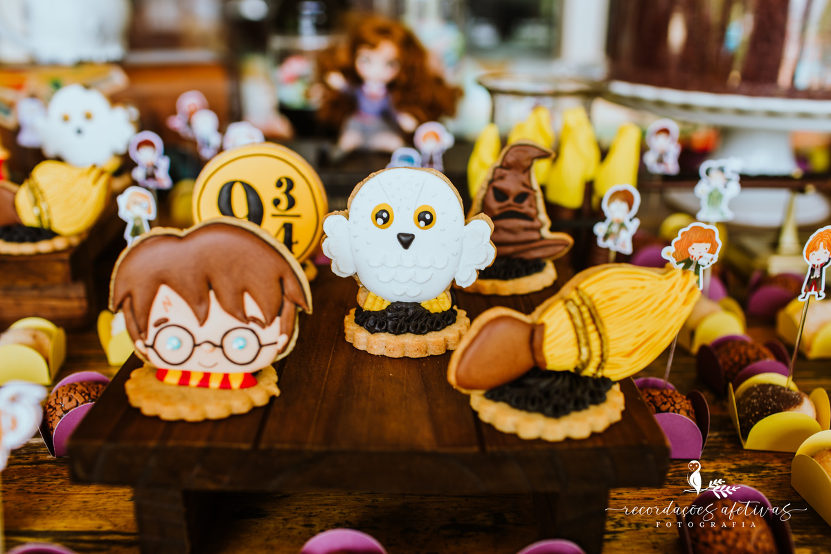 Aniversário Infantil com Tema Harry Potter realizado em Mairinque - SP