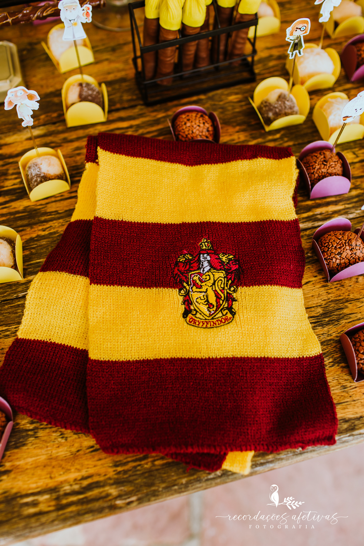 Aniversário Infantil com Tema Harry Potter realizado em Mairinque - SP