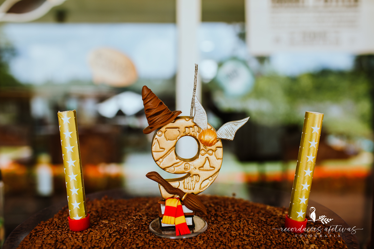Aniversário Infantil com Tema Harry Potter realizado em Mairinque - SP