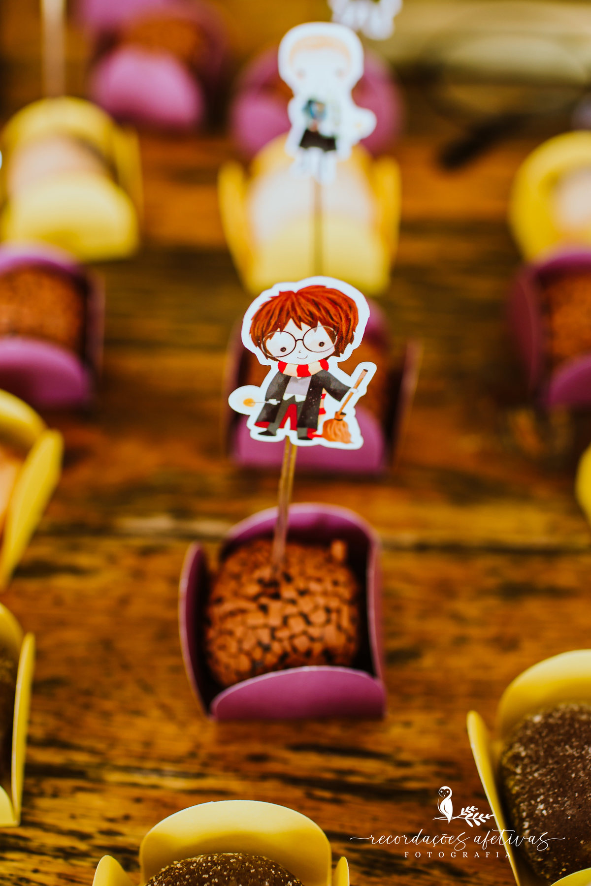 Aniversário Infantil com Tema Harry Potter realizado em Mairinque - SP