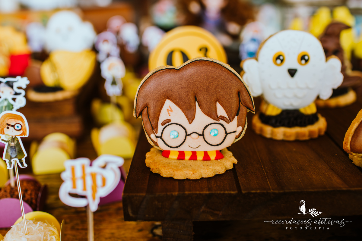 Aniversário Infantil com Tema Harry Potter realizado em Mairinque - SP