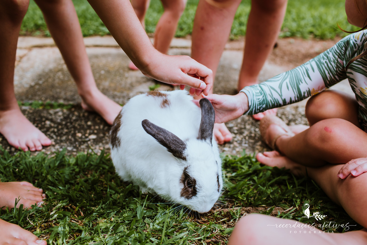 Aniversário Infantil com Tema Harry Potter realizado em Mairinque - SP