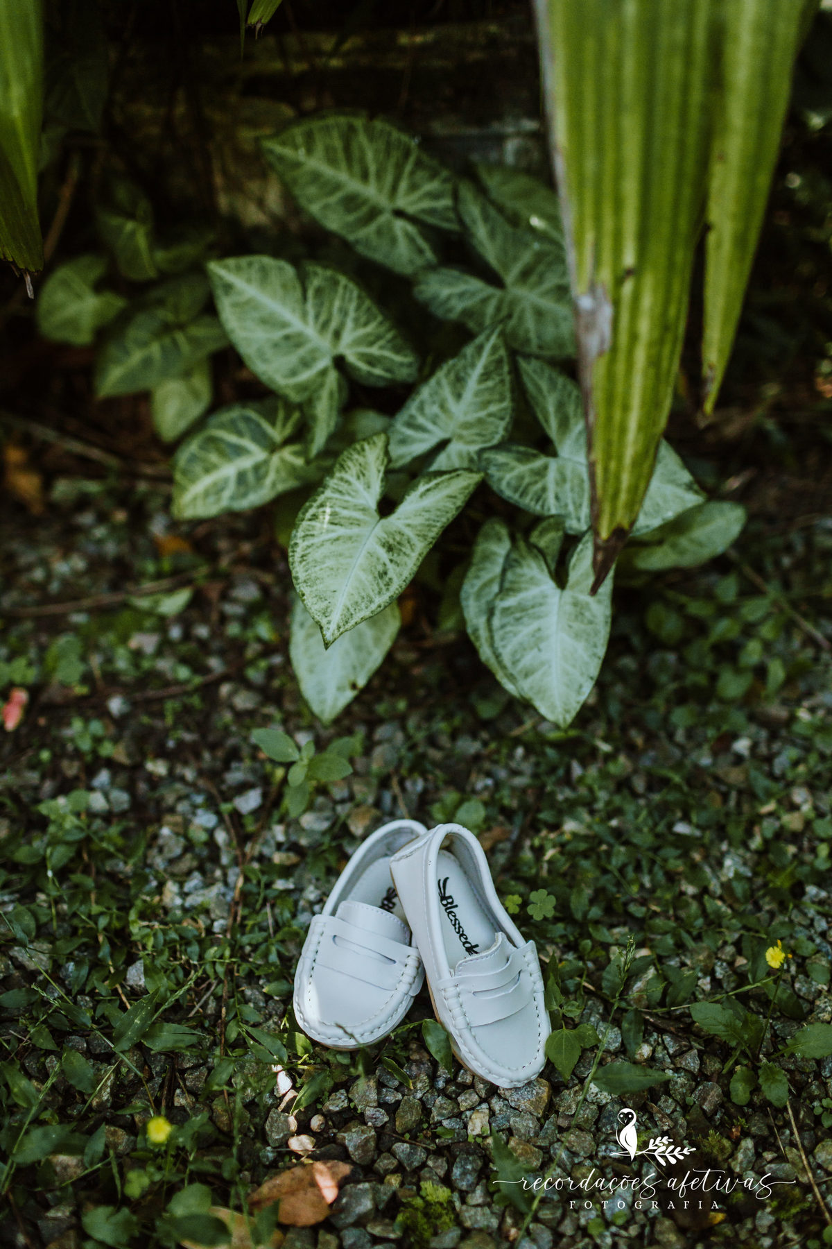 Batizado na Umbanda, realizado no Patrimonio do Carmo, em São Roque - SP