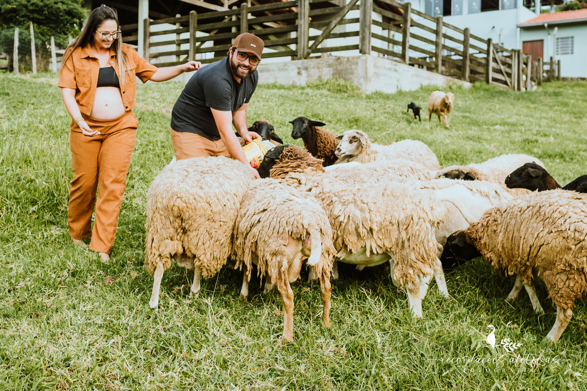 Ensaio Gestante com Animais realizado em São Roque - SP