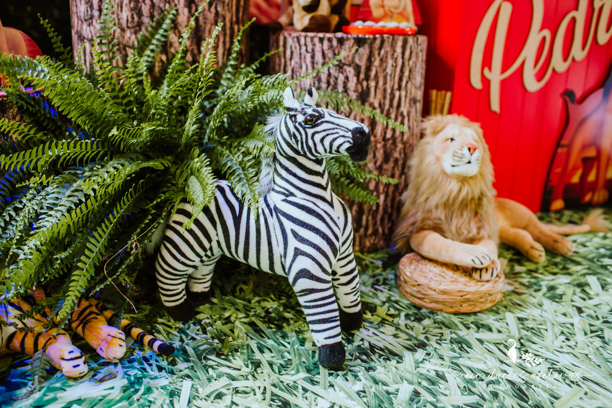 Aniversário Infantil com Tema O Rei Leão, realizado no Buffet No Meio do Mato em Itu - SP