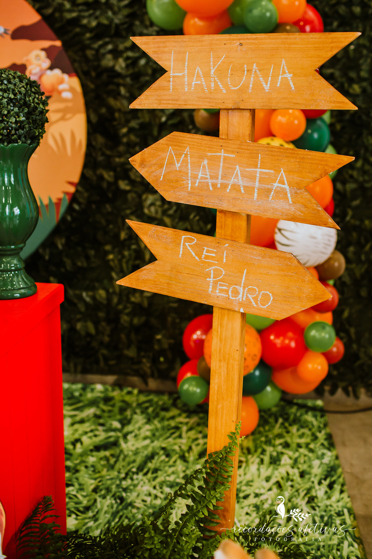 Aniversário Infantil com Tema O Rei Leão, realizado no Buffet No Meio do Mato em Itu - SP