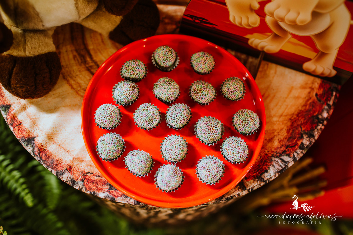 Aniversário Infantil com Tema O Rei Leão, realizado no Buffet No Meio do Mato em Itu - SP