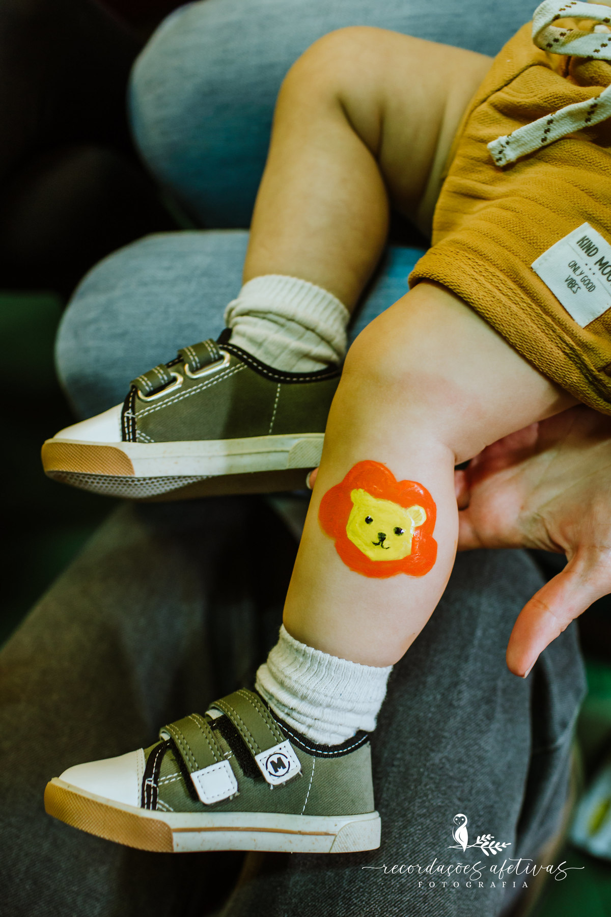 Aniversário Infantil com Tema O Rei Leão, realizado no Buffet No Meio do Mato em Itu - SP
