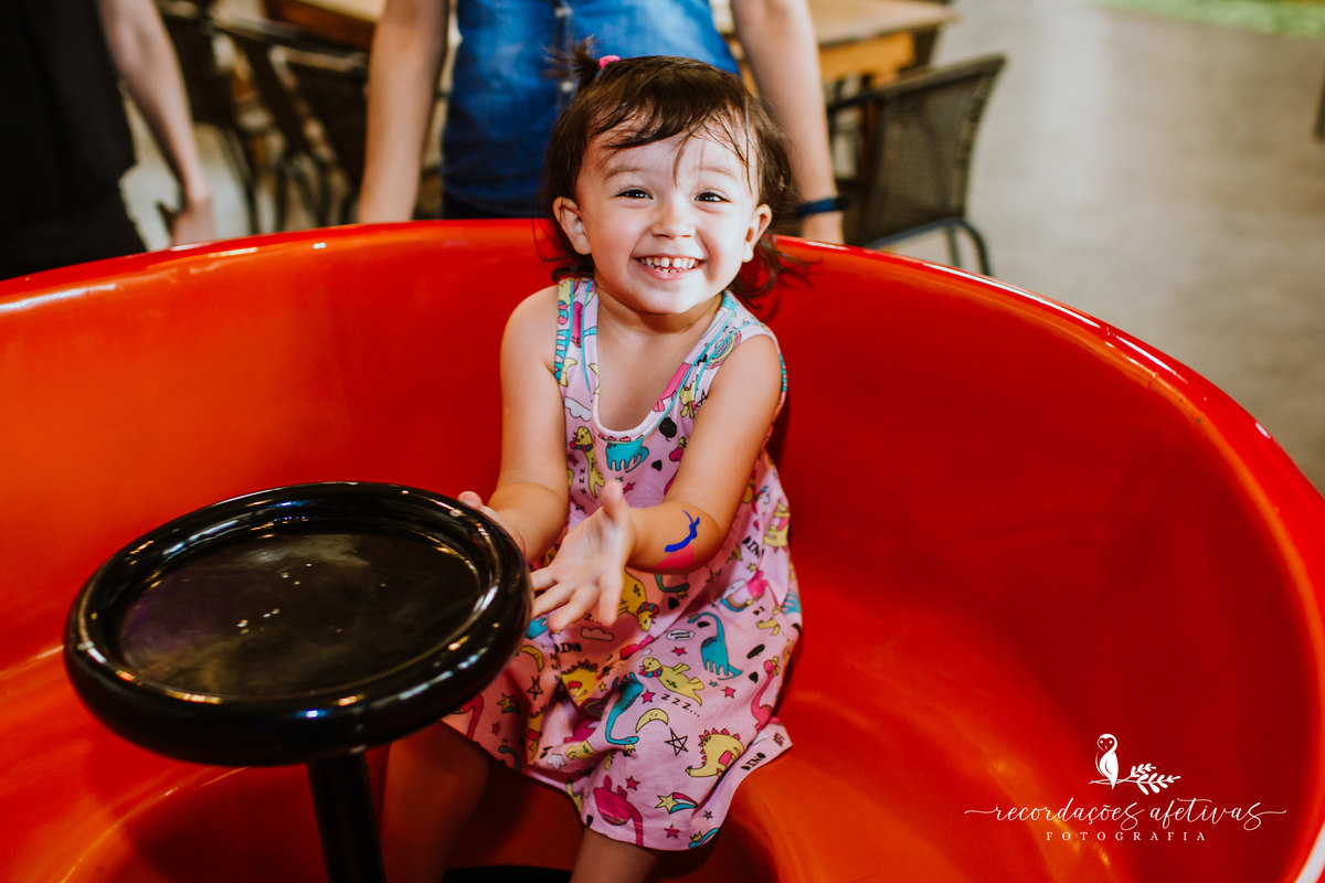 Aniversário Infantil com Tema O Rei Leão, realizado no Buffet No Meio do Mato em Itu - SP