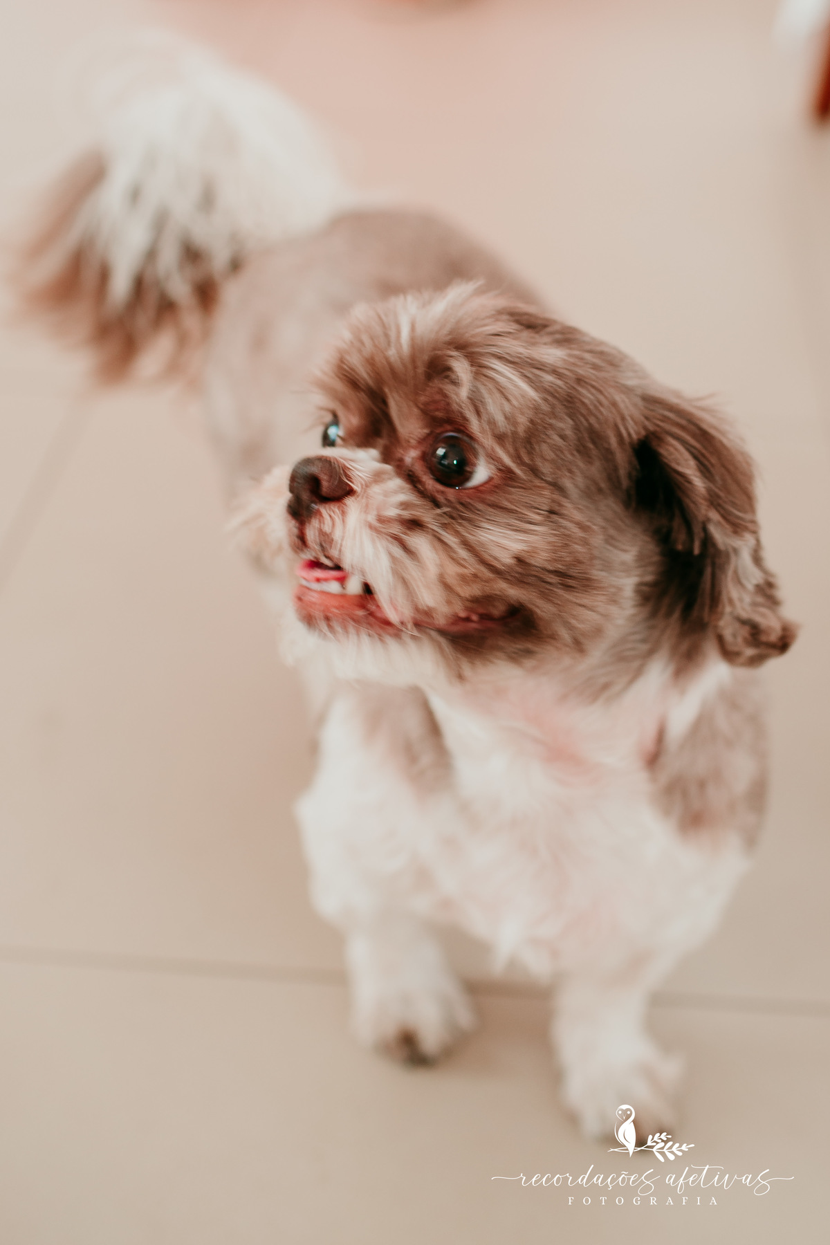 Chá de Fraldas realizado no Condomínio Saint Paul em Itu - SP