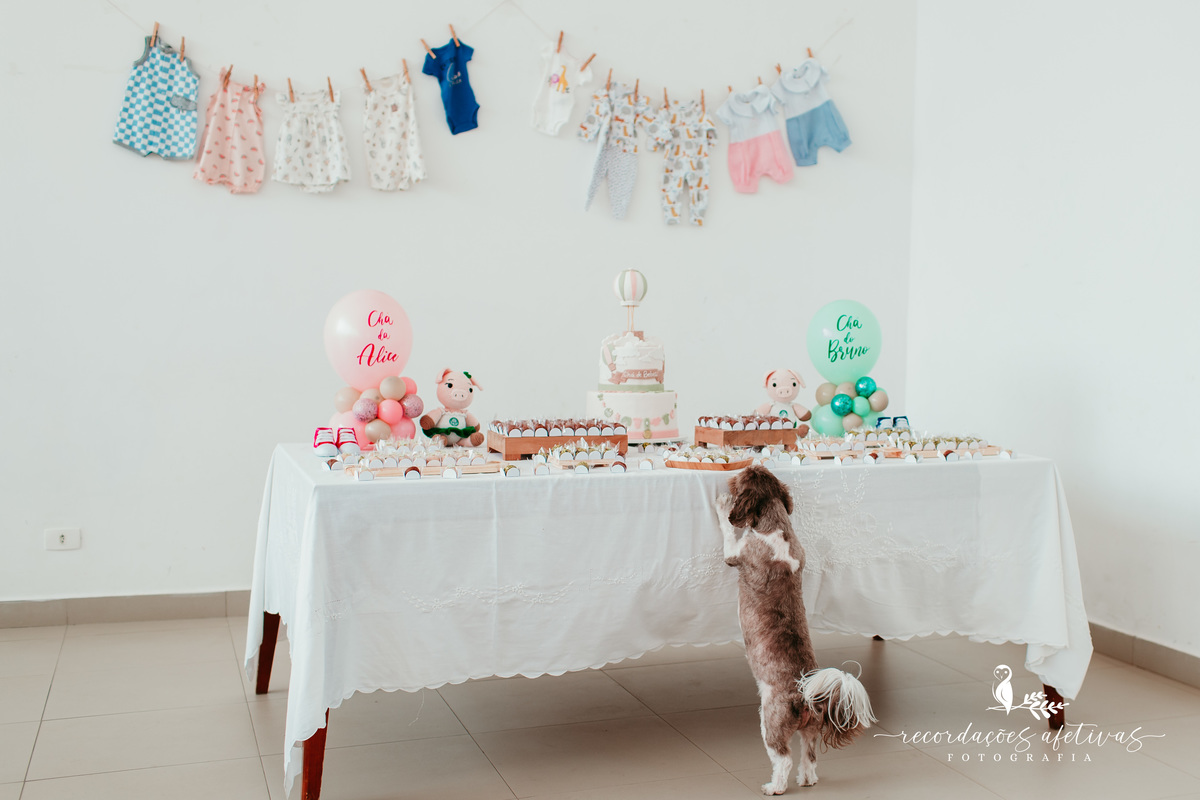 Chá de Fraldas realizado no Condomínio Saint Paul em Itu - SP