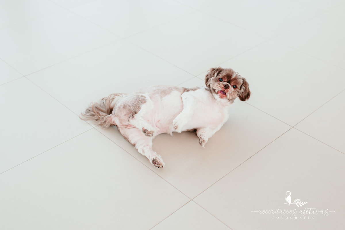 Chá de Fraldas realizado no Condomínio Saint Paul em Itu - SP