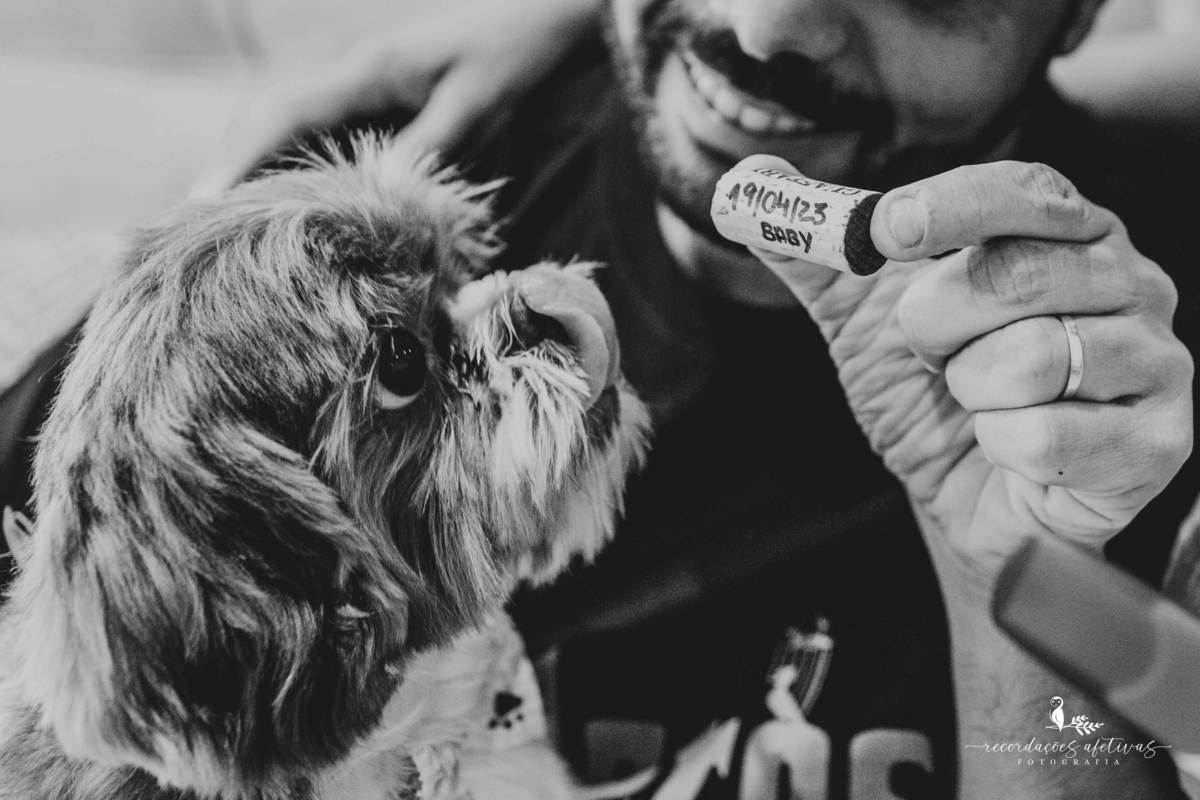 Ensaio Gestante com pet realizado na Fazenda Tucunduva, em Itu - SP
