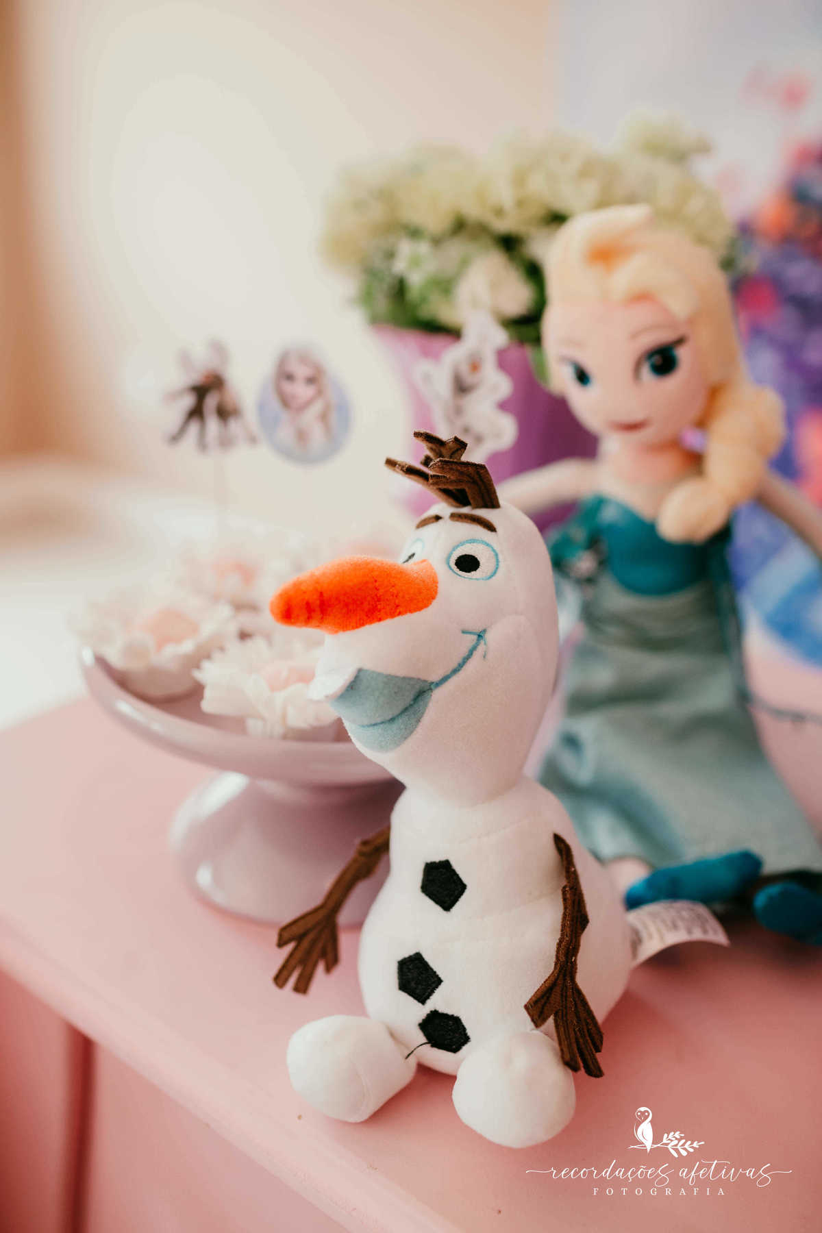 Aniversário Infantil com Tema Frozen realizado em São Roque - SP
