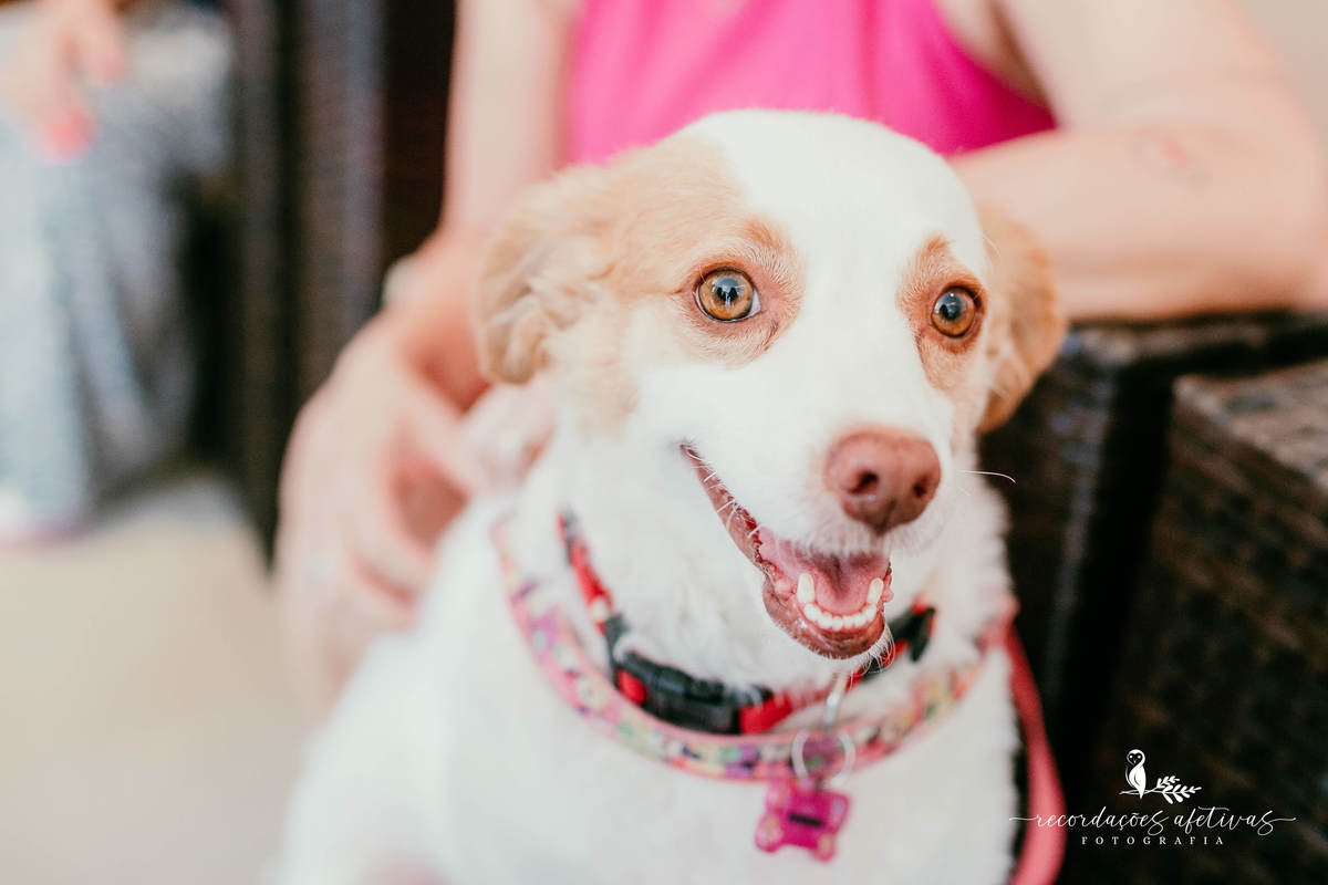 Aniversário Infantil com Tema Frozen realizado em São Roque - SP