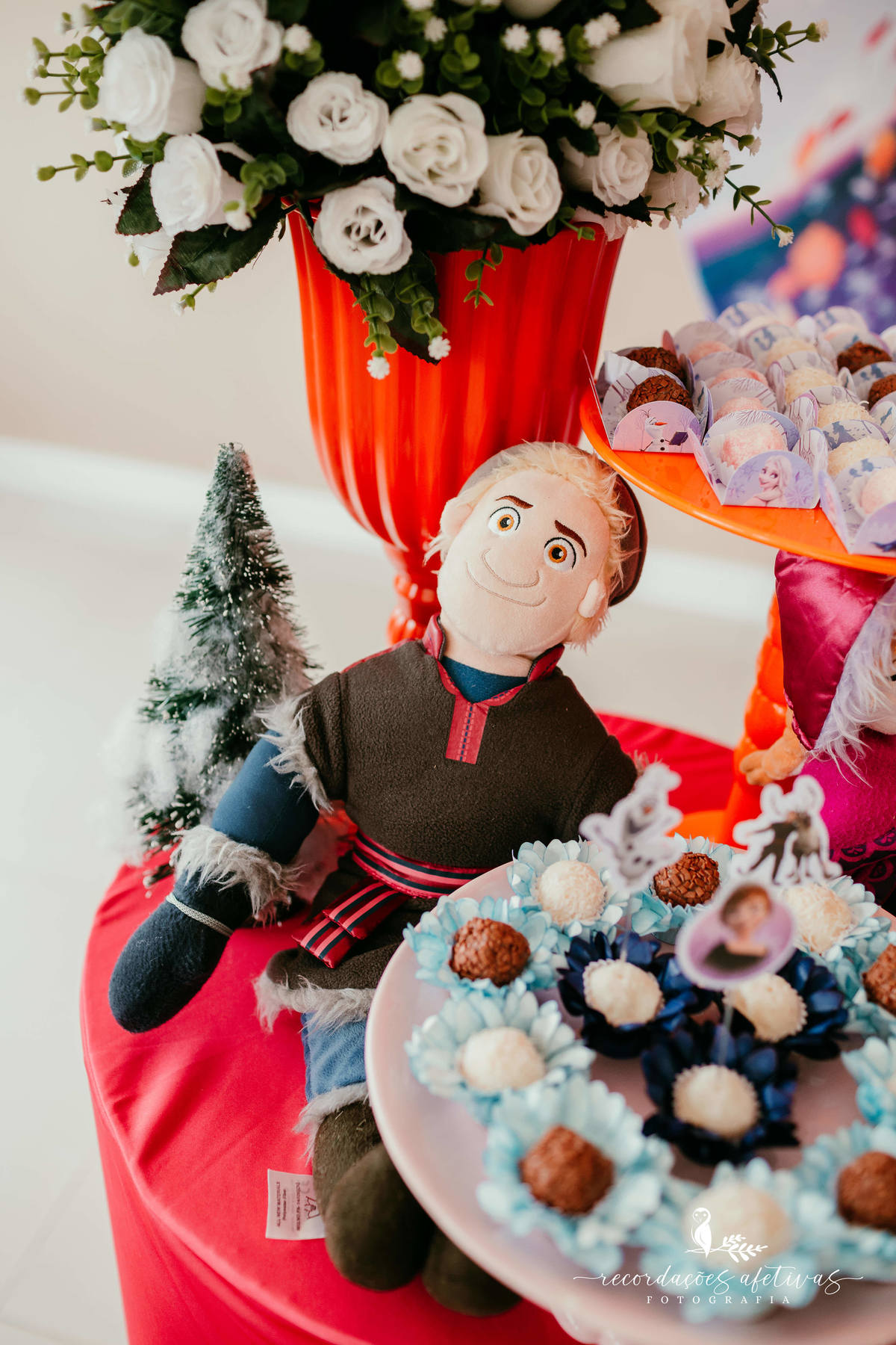 Aniversário Infantil com Tema Frozen realizado em São Roque - SP