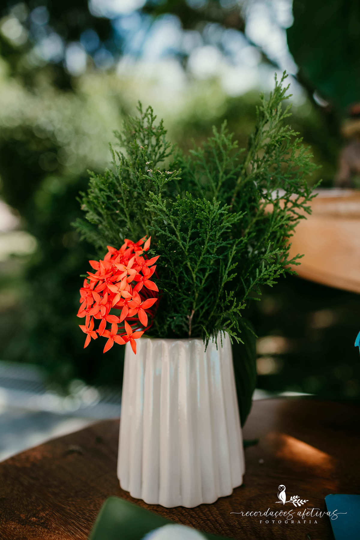 Aniversário Infantil com tema O Rei Leão, realizado no condomínio Terras de São José, em Itu - SP