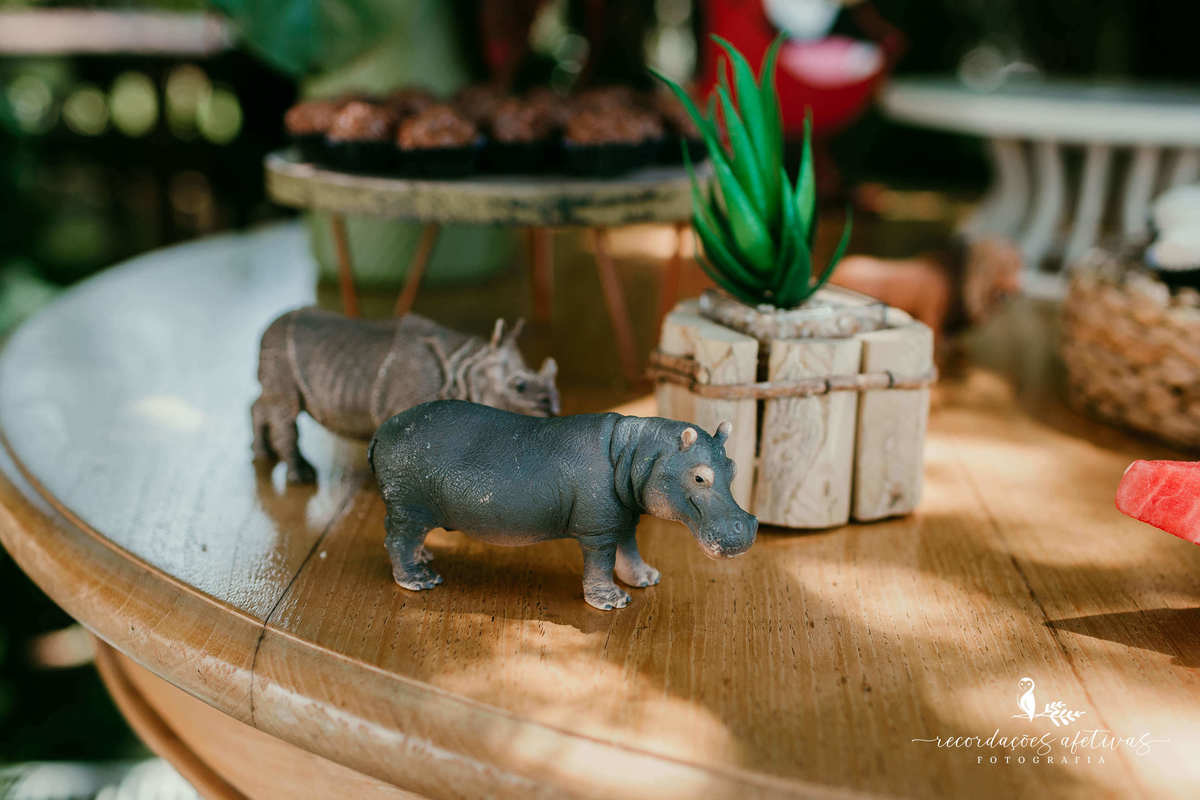 Aniversário Infantil com tema O Rei Leão, realizado no condomínio Terras de São José, em Itu - SP