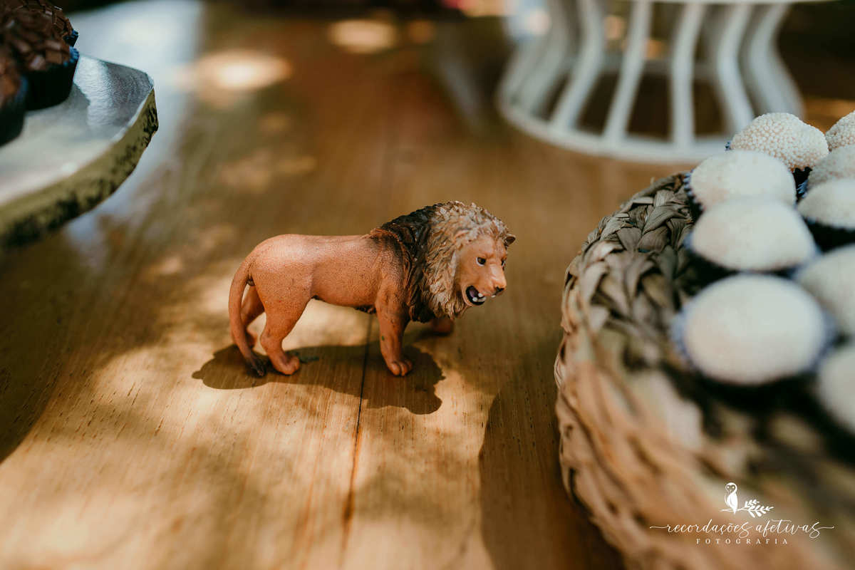 Aniversário Infantil com tema O Rei Leão, realizado no condomínio Terras de São José, em Itu - SP