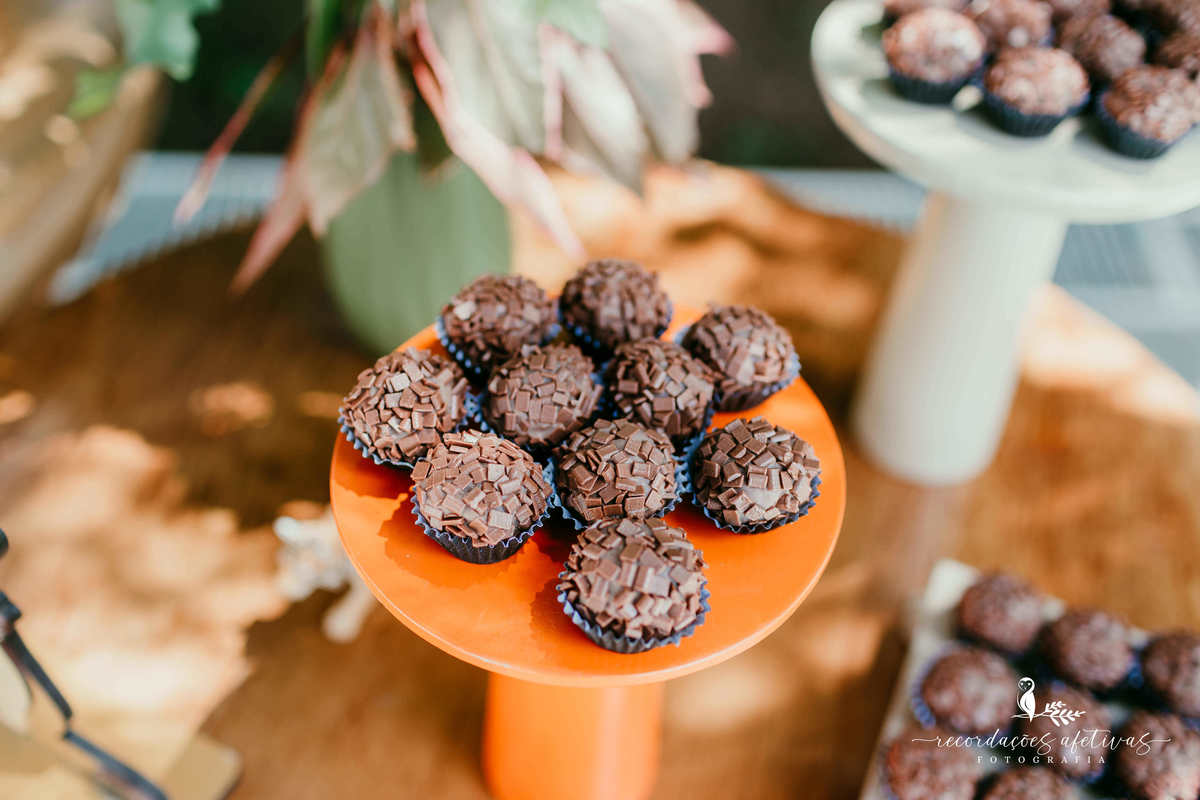 Aniversário Infantil com tema O Rei Leão, realizado no condomínio Terras de São José, em Itu - SP