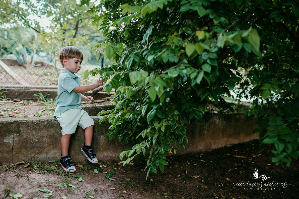 Aniversário Infantil com tema O Rei Leão, realizado no condomínio Terras de São José, em Itu - SP
