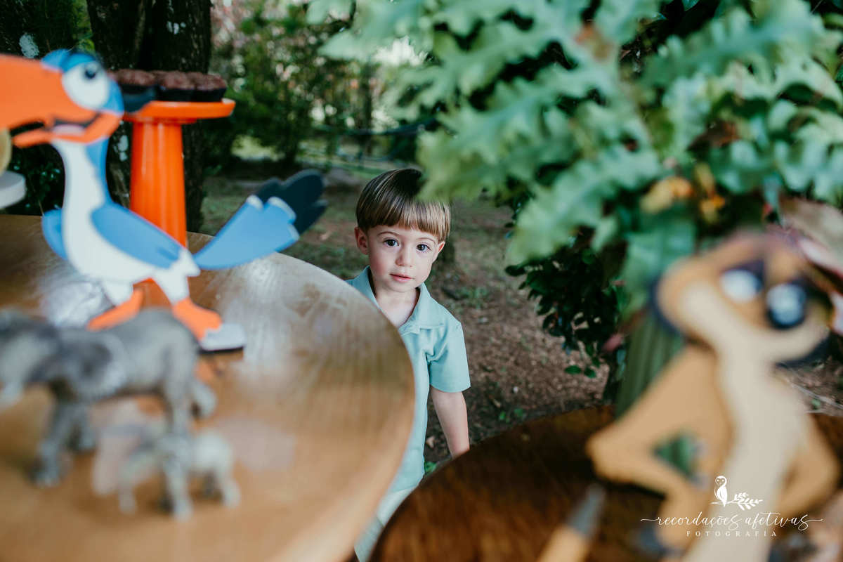 Aniversário Infantil com tema O Rei Leão, realizado no condomínio Terras de São José, em Itu - SP