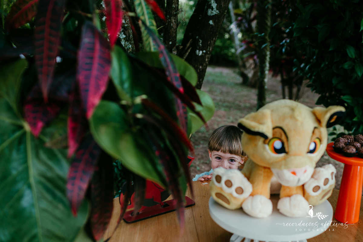 Aniversário Infantil com tema O Rei Leão, realizado no condomínio Terras de São José, em Itu - SP