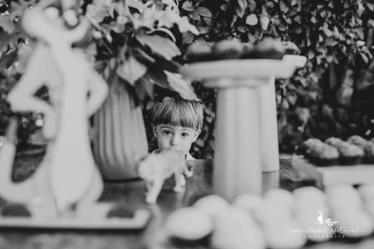 Aniversário Infantil com tema O Rei Leão, realizado no condomínio Terras de São José, em Itu - SP