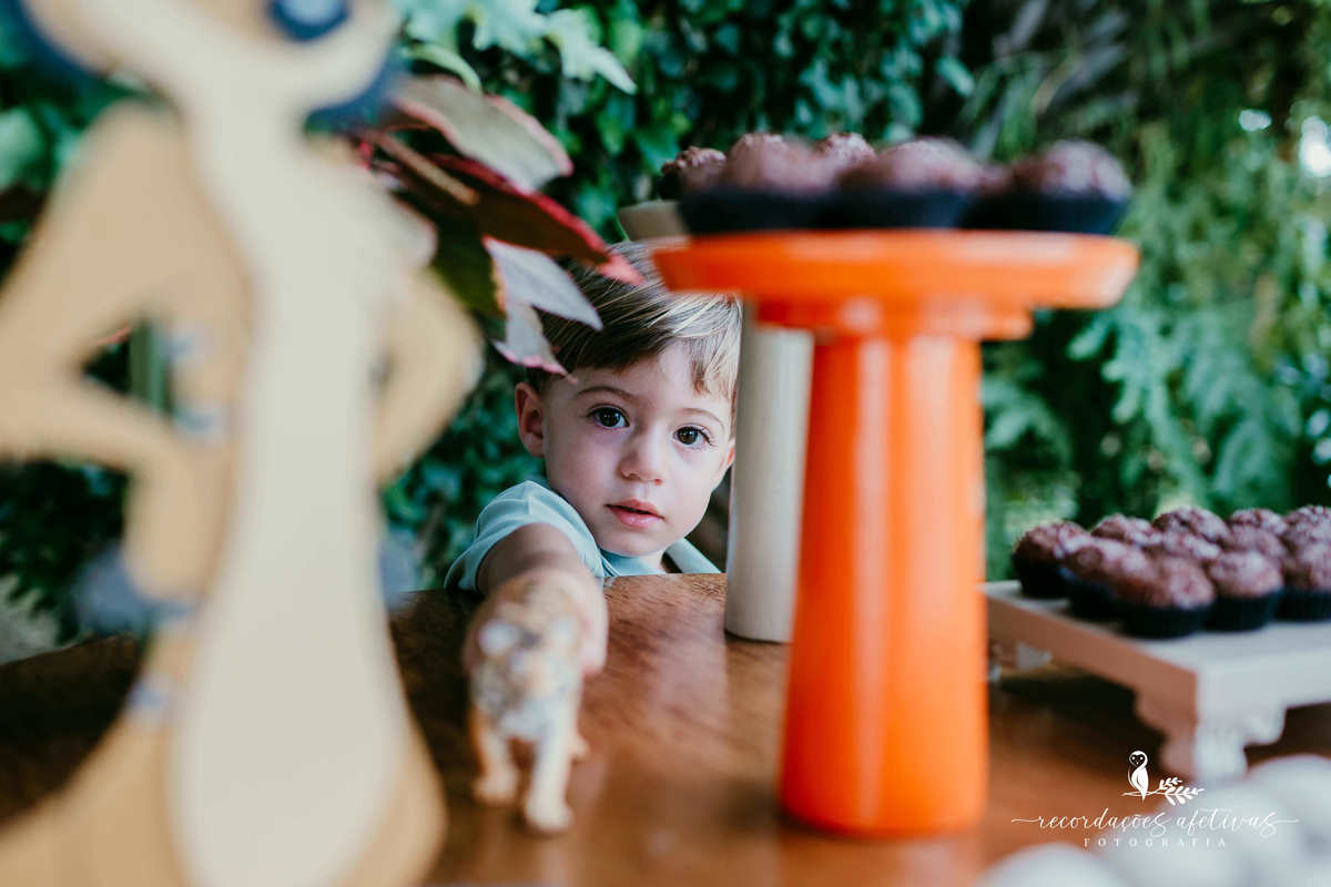 Aniversário Infantil com tema O Rei Leão, realizado no condomínio Terras de São José, em Itu - SP